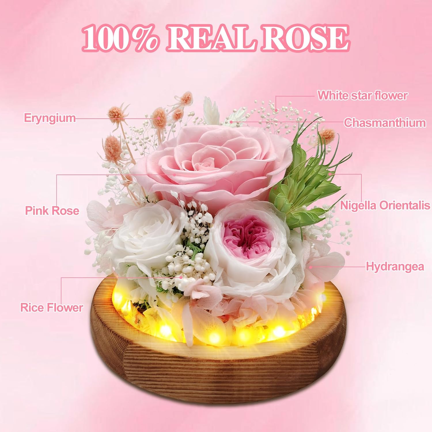 Preserved Rose Forever Flowers in Glass Dome Gifts for Women, Long-Lasting Real Flowers，Red Eternal Rose Birthday Gifts for Mom Valentines Day Anniversary for Wife Girlfriend