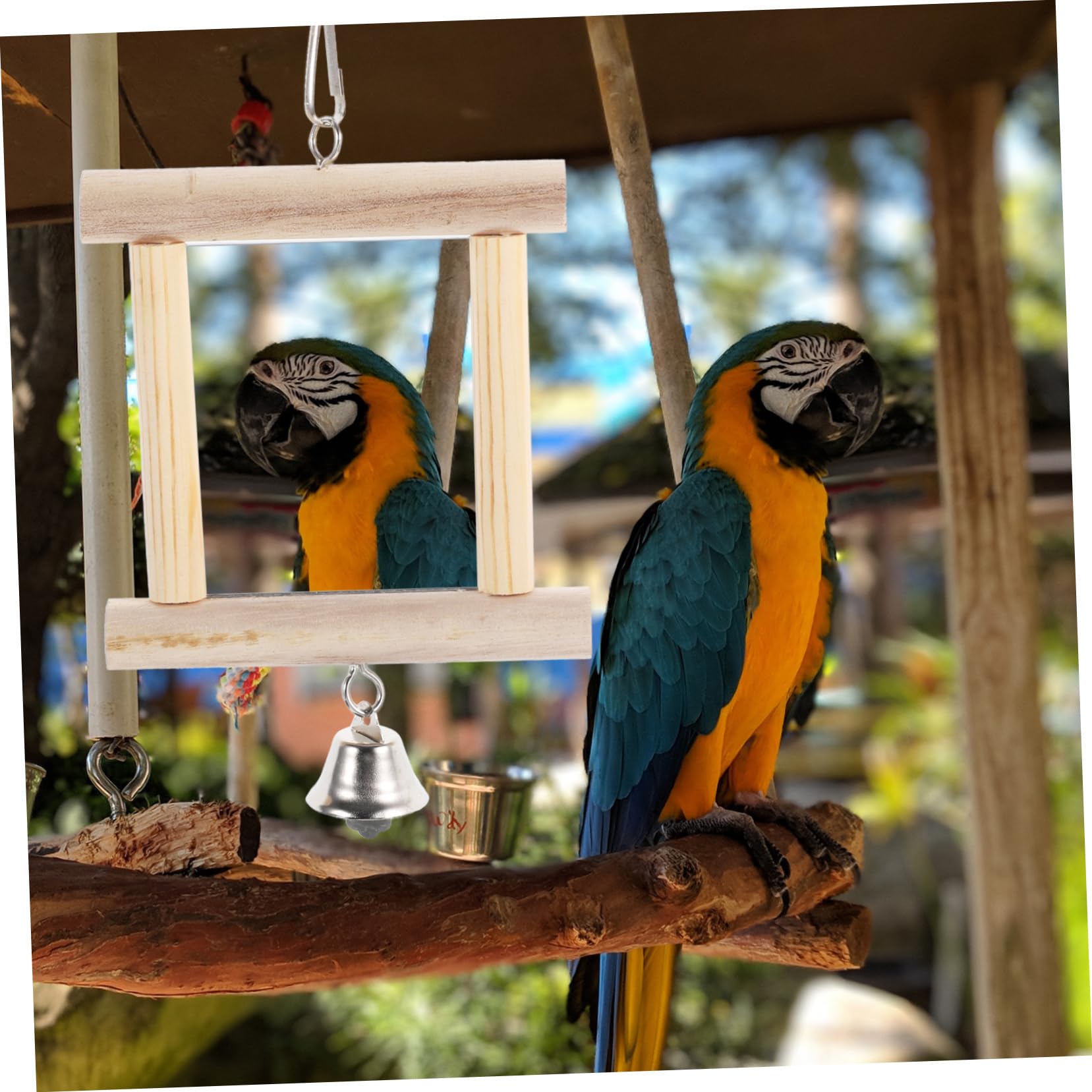 Amazon | BUGUUYO インコ 鏡 吊り下げ式 鈴付き 鳥用ミラー 木材製