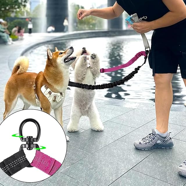 Foto 6 de 7 de fKiZanthene Correa doble para 2 perros con conexión elástica