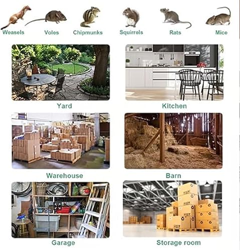 Miniatura 2 de Trampa automática de acero inoxidable, trampa automática para ratas, trampa automática para ratones, trampas humanas para ratones, trampa continua