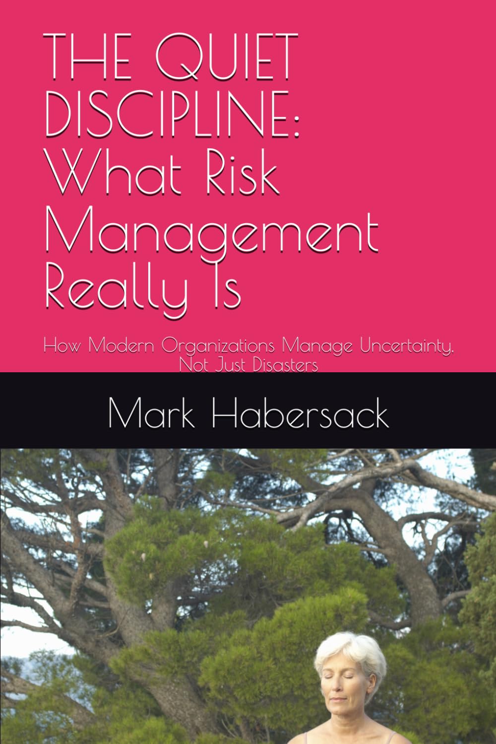 THE QUIET DISCIPLINE: What Risk Management Really Is: How Modern Organizations Manage Uncertainty, Not Just Disasters