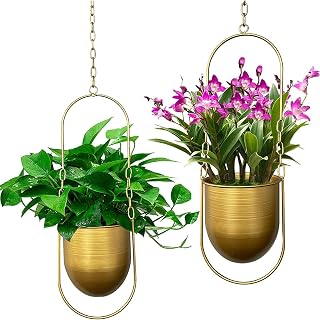 Hängender Pflanzenaufhänger,2er Set Boho Hänge Pflanzgefäß,Moderne Wand und Deckenpflanzer Blumentopfhalter für Sukkulenten, Kräuter, kleine Pflanzen ,Luftpflanzen (Gold)