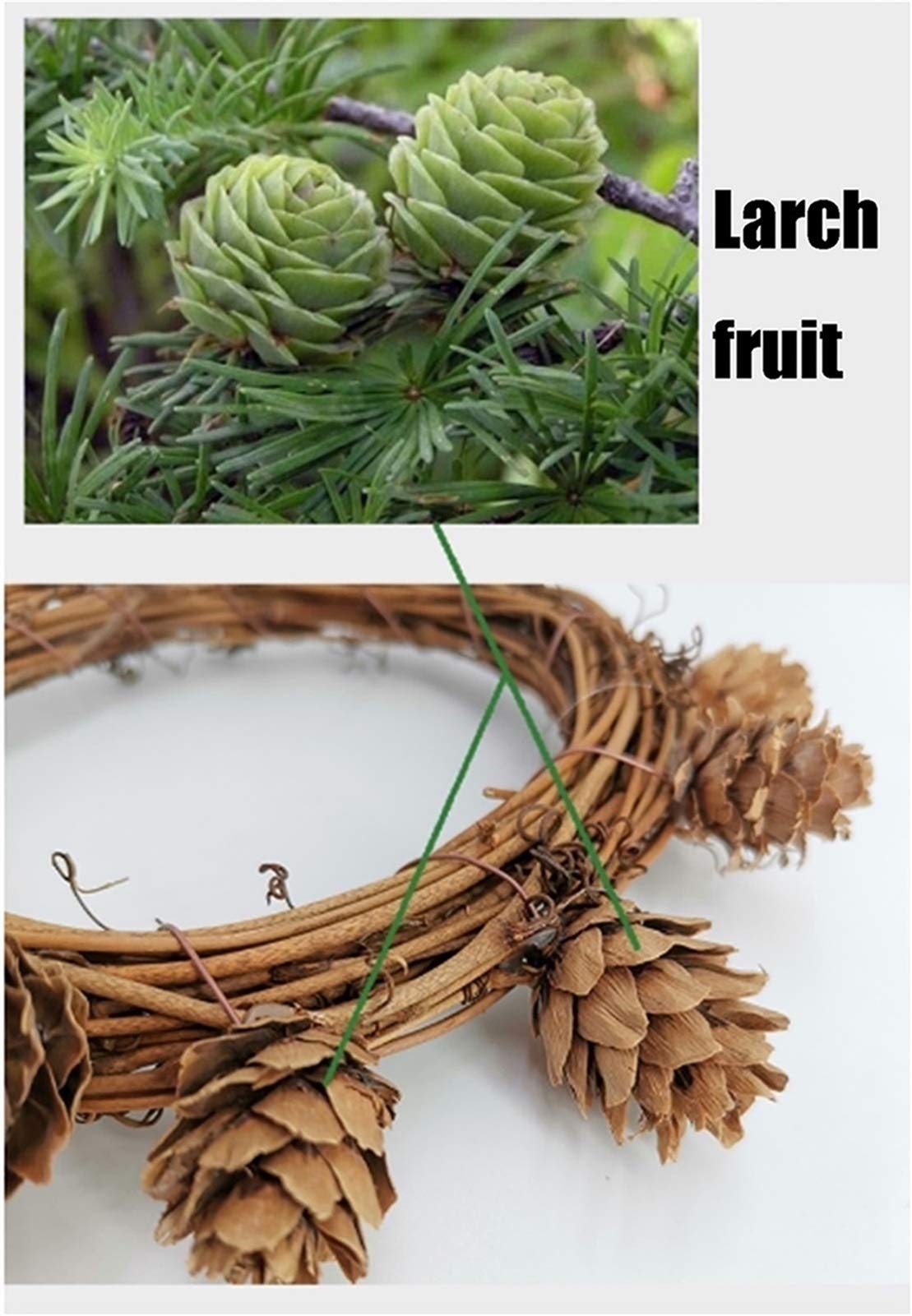 Nido per Uccelli in Rattan Intrecciato a Mano, Un Luogo di Gioco per pappagalli e canarini, può Essere Appeso 15x18 cm