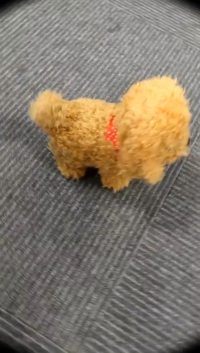 当時物 Galoob BUDDY 犬 電動ぬいぐるみ 日本製 箱付き ロボット犬 おもちゃ