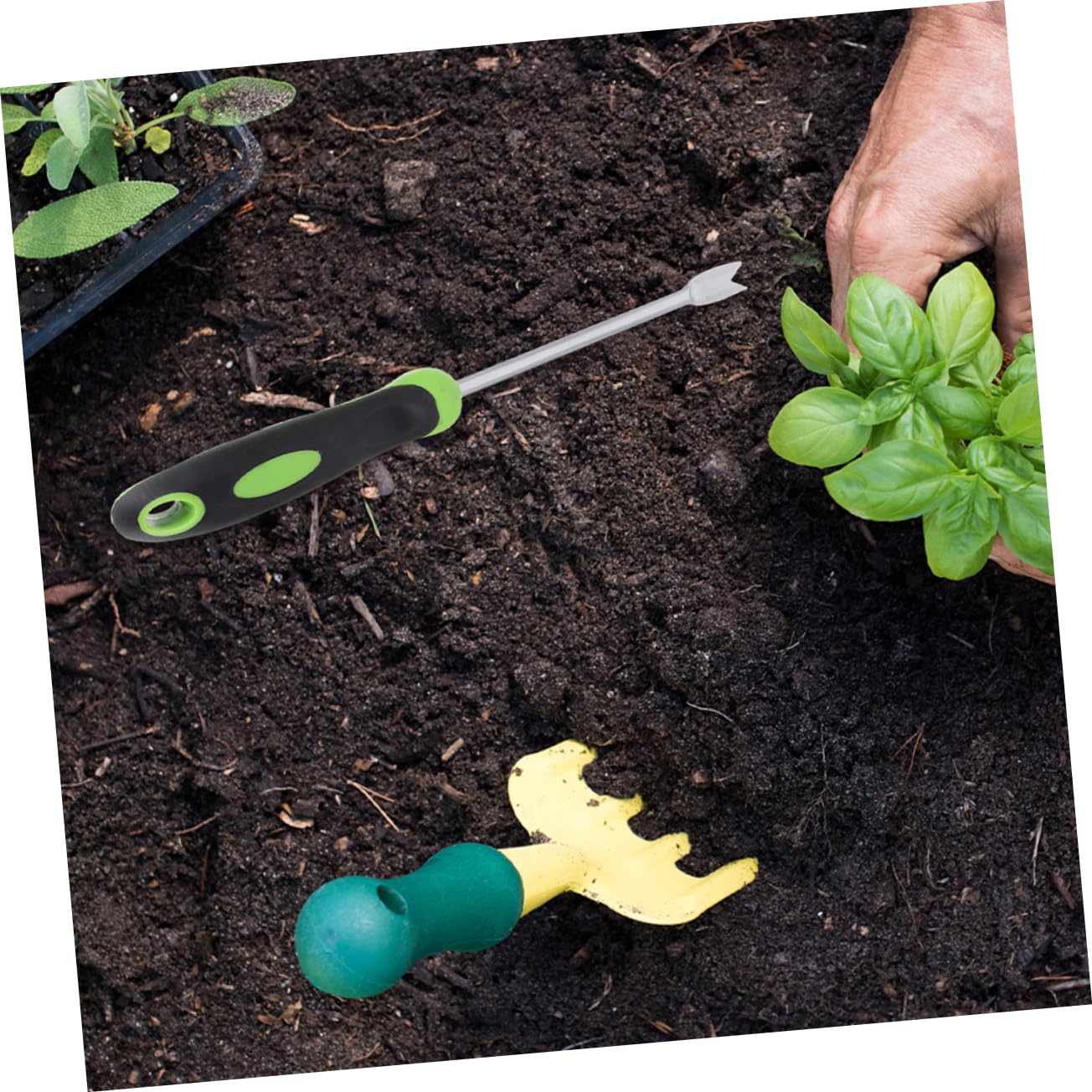 NUOBESTY 3 Pezzi di Strumenti per Diserbo Strumento per La Rimozione del Prato Sarchiatore Attrezzo per Diserbo Attrezzo per Giardinaggio Estrattore Sradicatore Rimozione Manuale