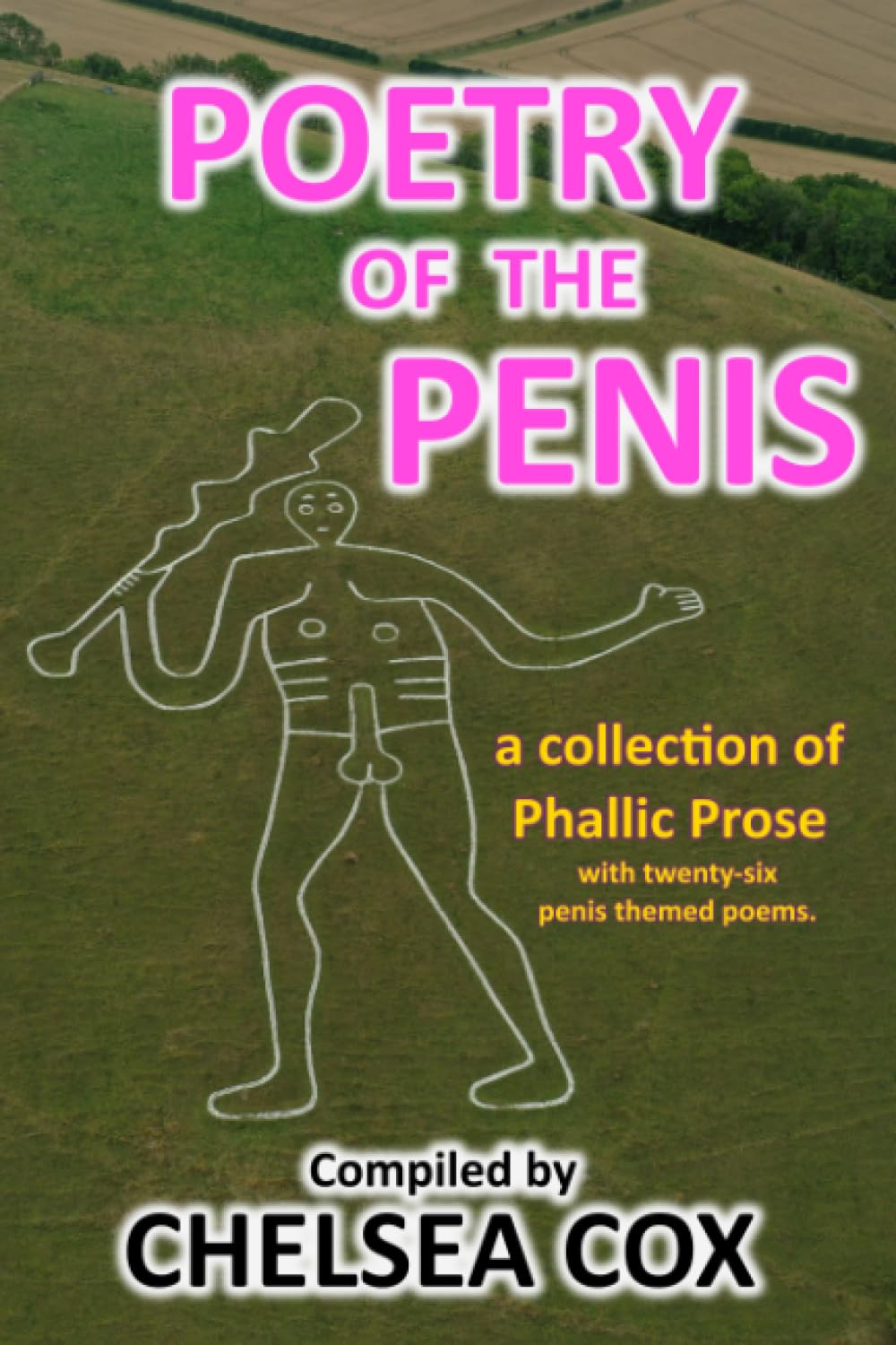 Poetry of the Penis: A collection of phallic prose with twenty-six penis themed poems.