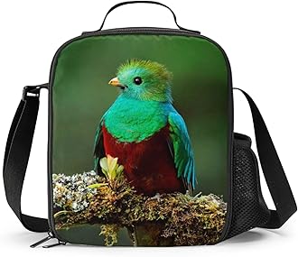 Bird Lunch Box - Insulated Lunch Box for Kids with Side Pocket & Shoulder Strap Lunch Bag, Perfect for School/Camping/Hiking/Picnic/Beach/Travel