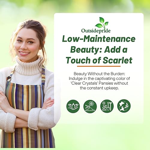 Miniatura 5 de Outsidepride Semillas de pensamiento de viola escarlata para plantar, 1000 piezas. Flores bienales, resistentes al frío y aptas para polinizadores