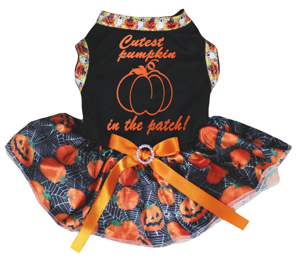 Vêtement chien pour Halloween avec tutu citrouille - Look fête chiot