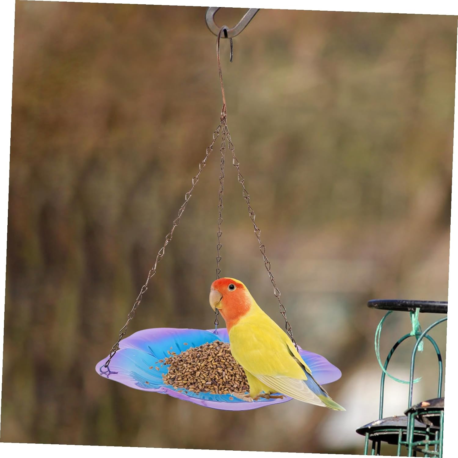 Outdoor Hanging Bird Feeder Tray Iron Material Garden Bird Feeding Accessory with Smooth Surface Easy to Fill and Clean for Patio Porch Trees