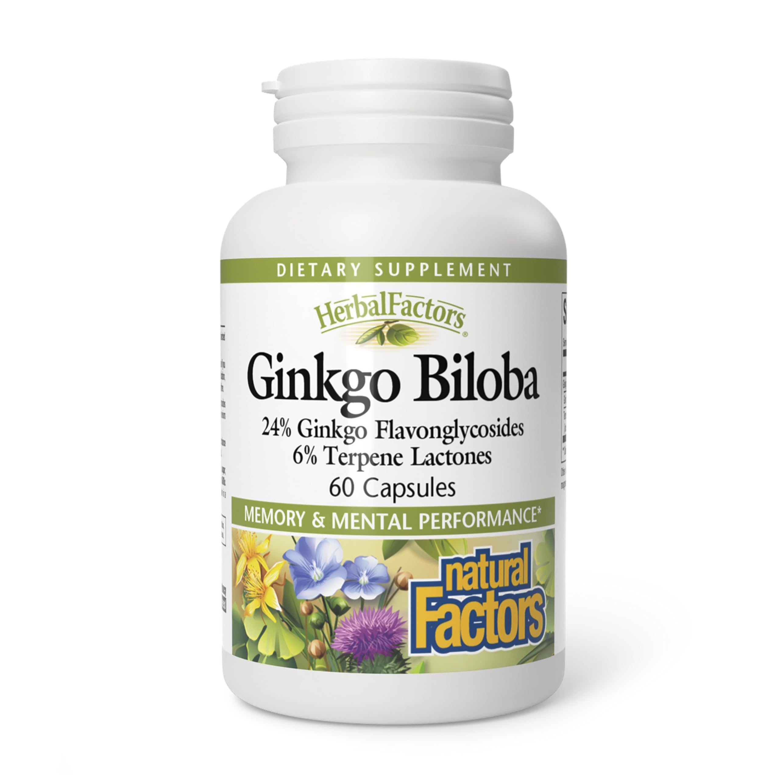 Natural Factors Ginkgo Biloba Capsules, 60