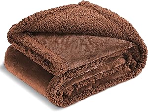 Coperta termica per auto thumbnail classifica