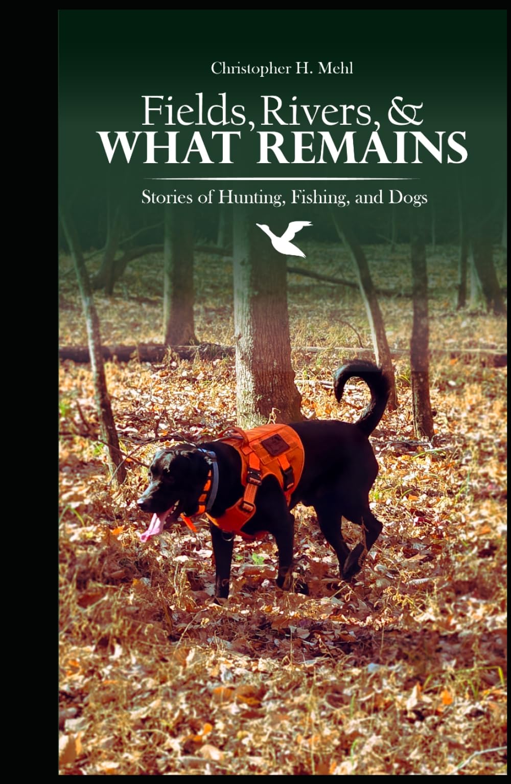Fields, Rivers, and What Remains: Stories of Hunting, Fishing, and Dogs