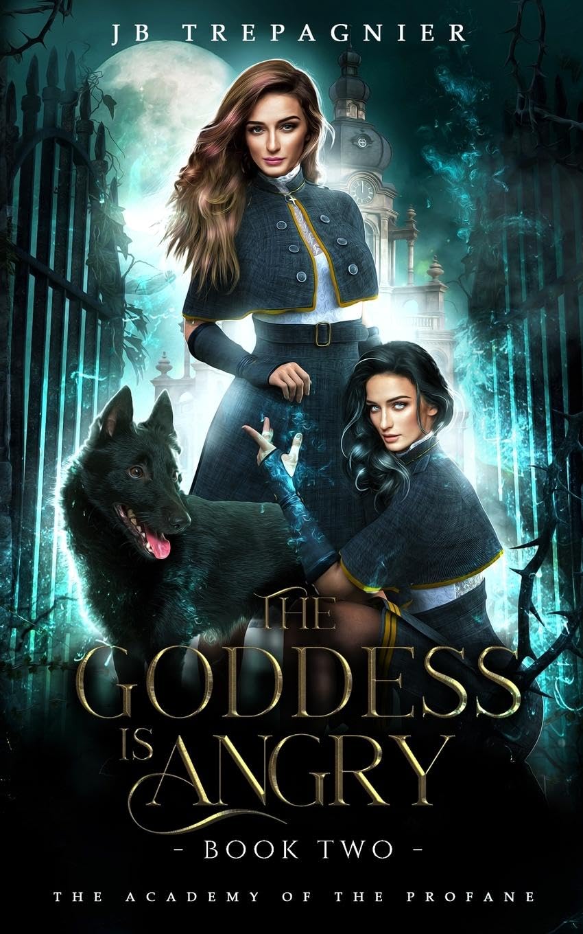 Cover of The Goddess Is Angry