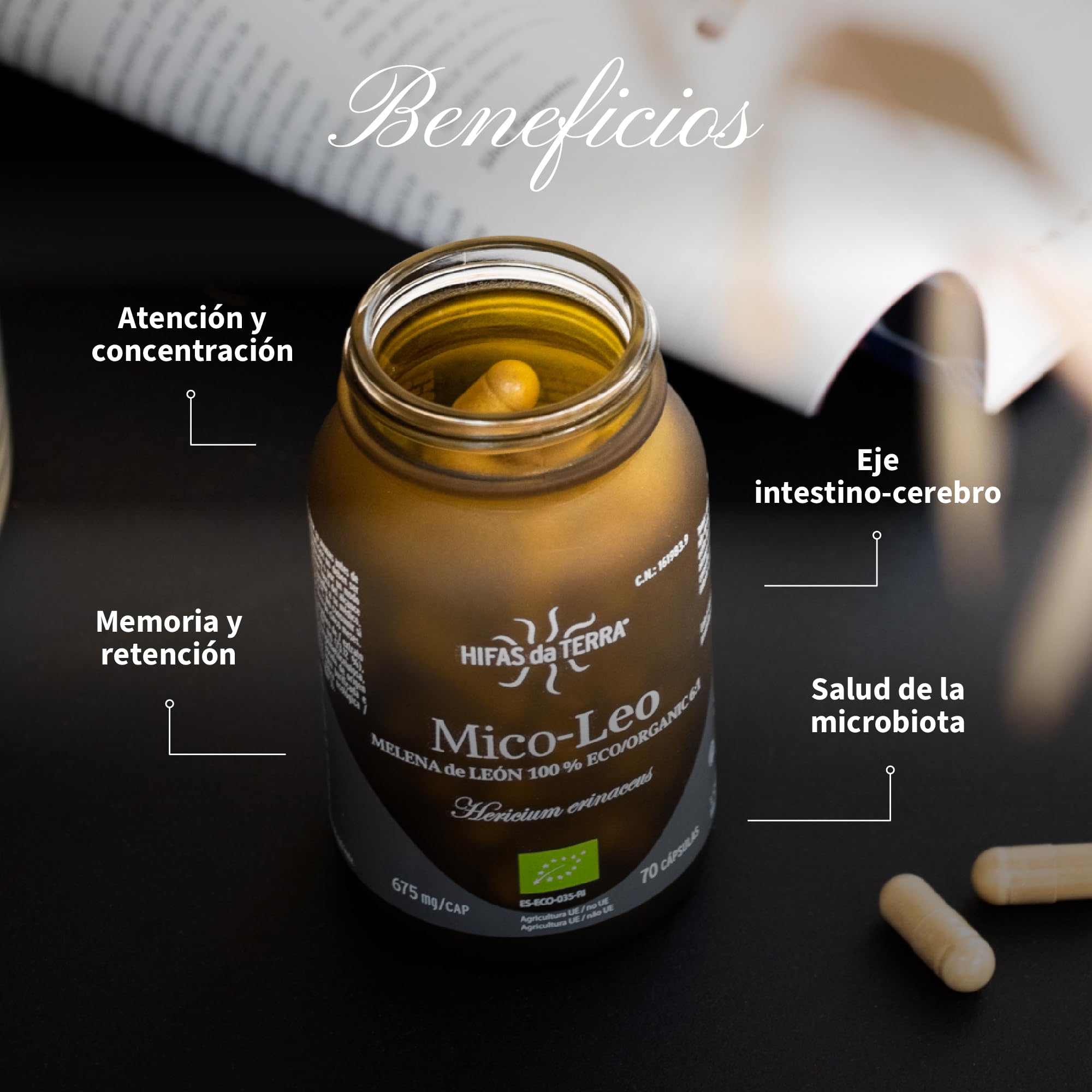 HIFAS DA TERRA - Mico-Leo Extracto Puro de Melena de León Hericium - Alta concentración de Beta-Glucanos y Vitamina C - Apoyo cognitivo, memoria, bienestar emocional e inmunitario - Refill 60 Cápsulas