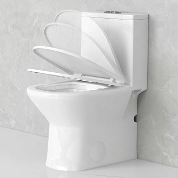 Eridanus Compact Rimless Bowl One Piece Toilet, Dual Flush 1.1/1.6 GPF