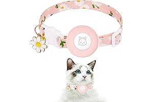 AirTag Cat Collar: Keep Your Feline Friends Safe and Found
