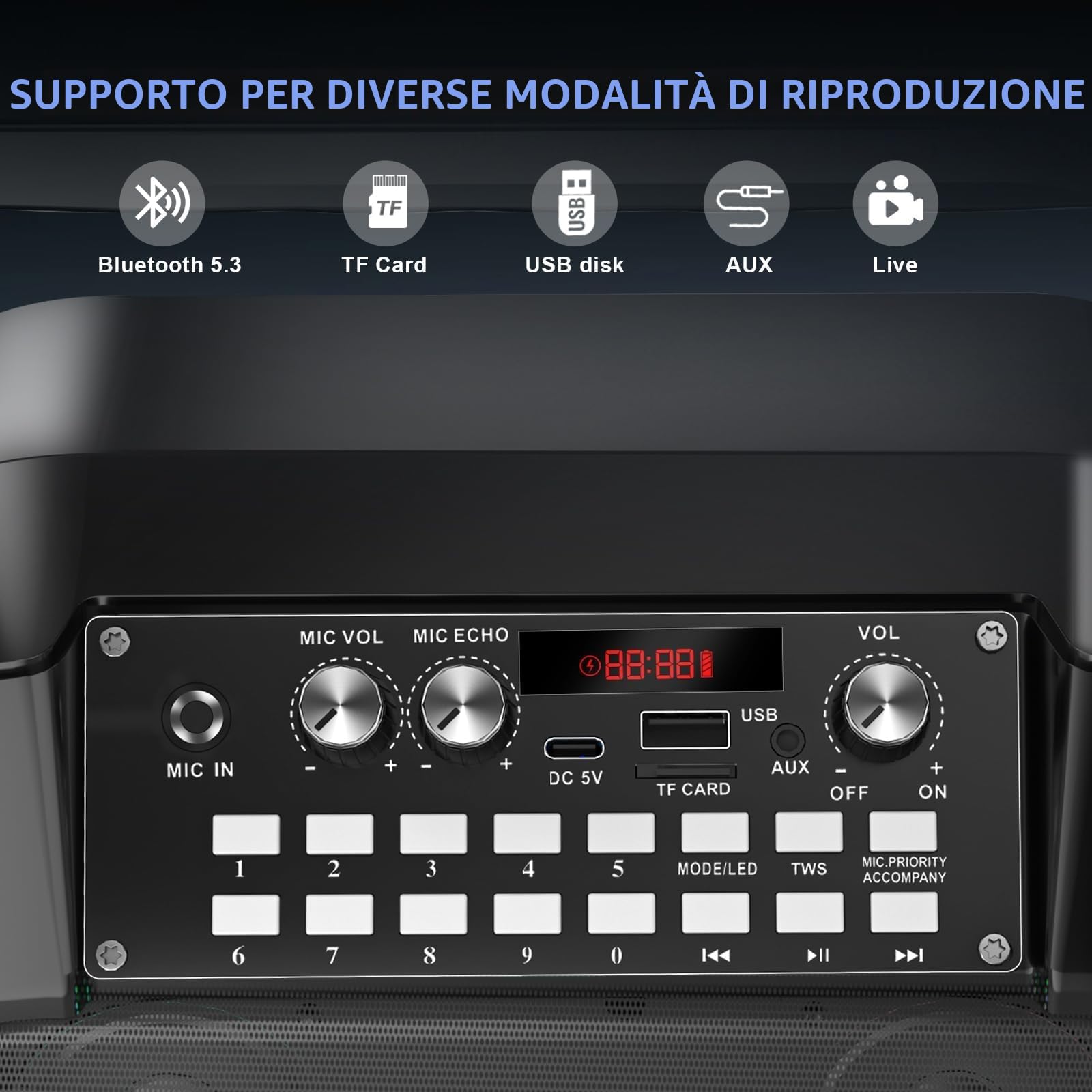 Macchina Karaoke, Altoparlante Bluetooth Portatile con 2 Microfoni Wireless, Batteria 6000mAh 8H Riproduzione,Stereo TWS,Luci RGB,Sistema PA Dual Bass Boost per Adulti,Bambini,Feste,Canto,DJ