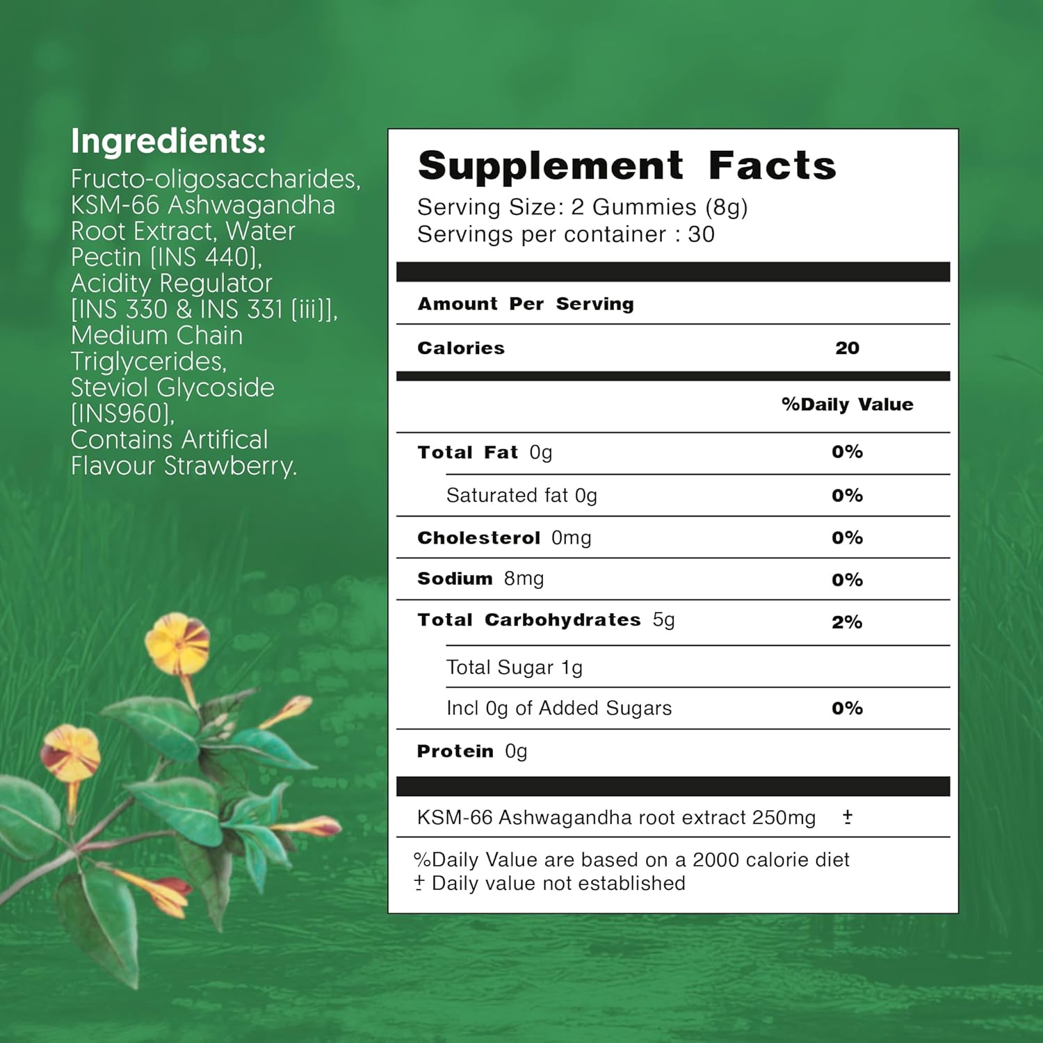 KSM 66 Ashwagandha Gummies for Women and Men, Vegan Supplement for Stress Support, Strawberry, 60 Count, 30-Day Supply