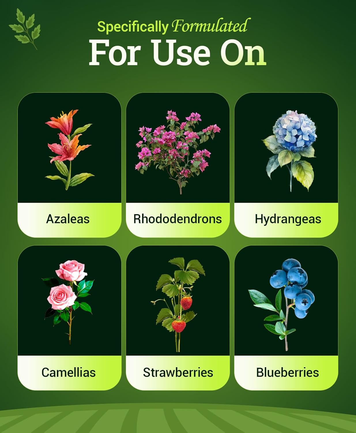 FoxFarm Happy Frog Acid Loving Plants Fertilizer - Slow Release Fertilizer for Azaleas, Rhododendrons, Blueberries & More - Contains Mycorrhizal Fungi & Soil Microbes - OMRI Listed - 4 lb