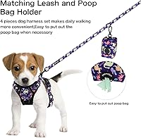 Vista 21 de Petmolico - Juego de arnés para perro sin tirones, 2 correas de sujeción con asa de fácil control, chaleco reflectante para razas pequeñas, arnés