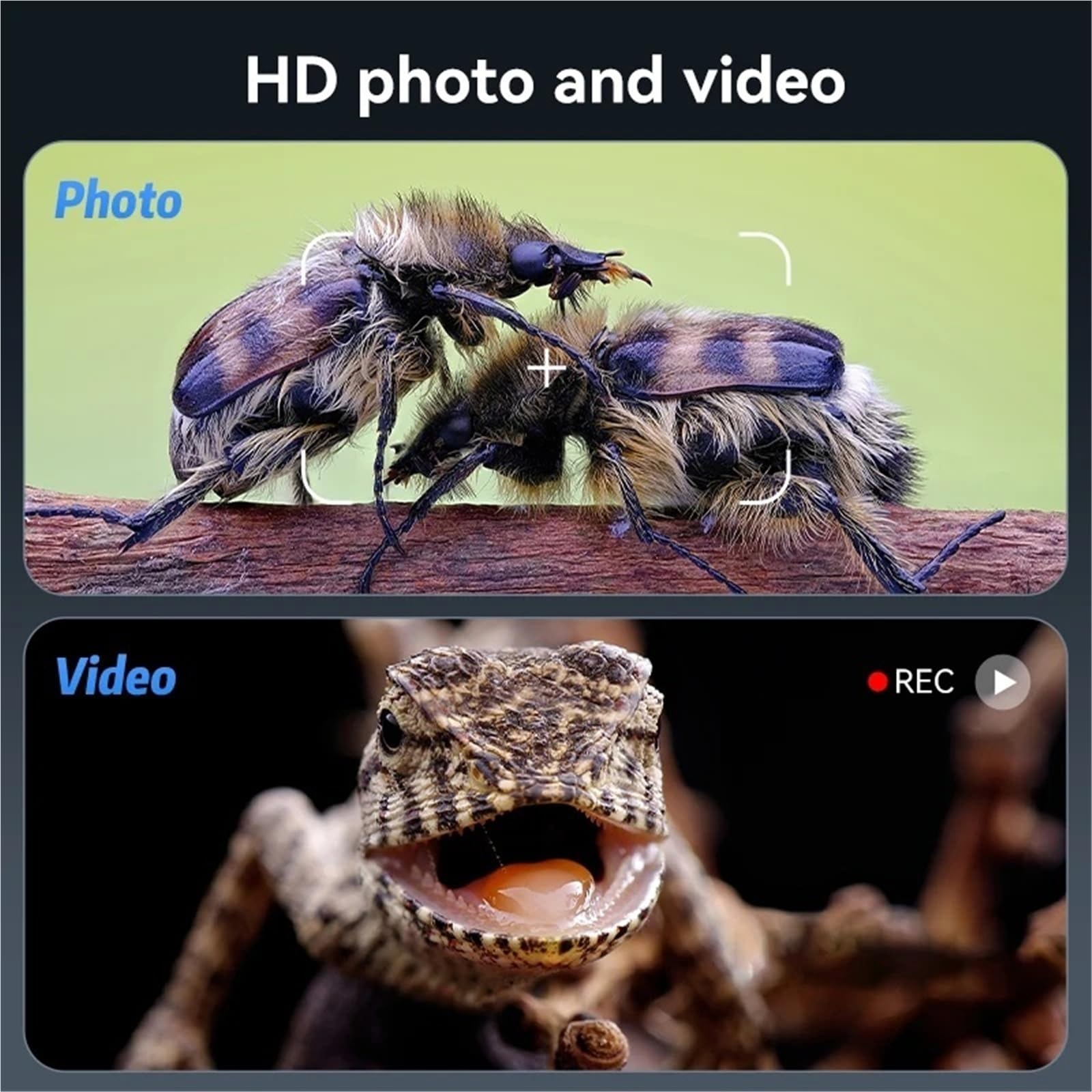 Microscopio, Microscopio elettronico digitale portatile con display da 5 MP e 7 pollici, foto e video con luci a 8 LED, zoom 1200X, batteria for laboratorio,Prodotti scientifici e da laboratorio