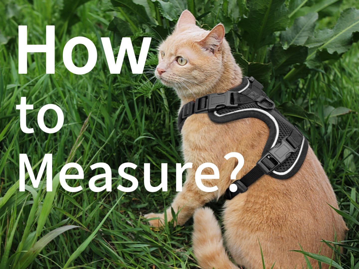 Cat Harness and Leash for Walking, Cat Car Harness, Escape Proof Soft Adjustable Vest Harnesses for Cats, Easy Control Breathable Reflective Strips Harness, Kitten Harness and Leash Set, Black, S - image 6