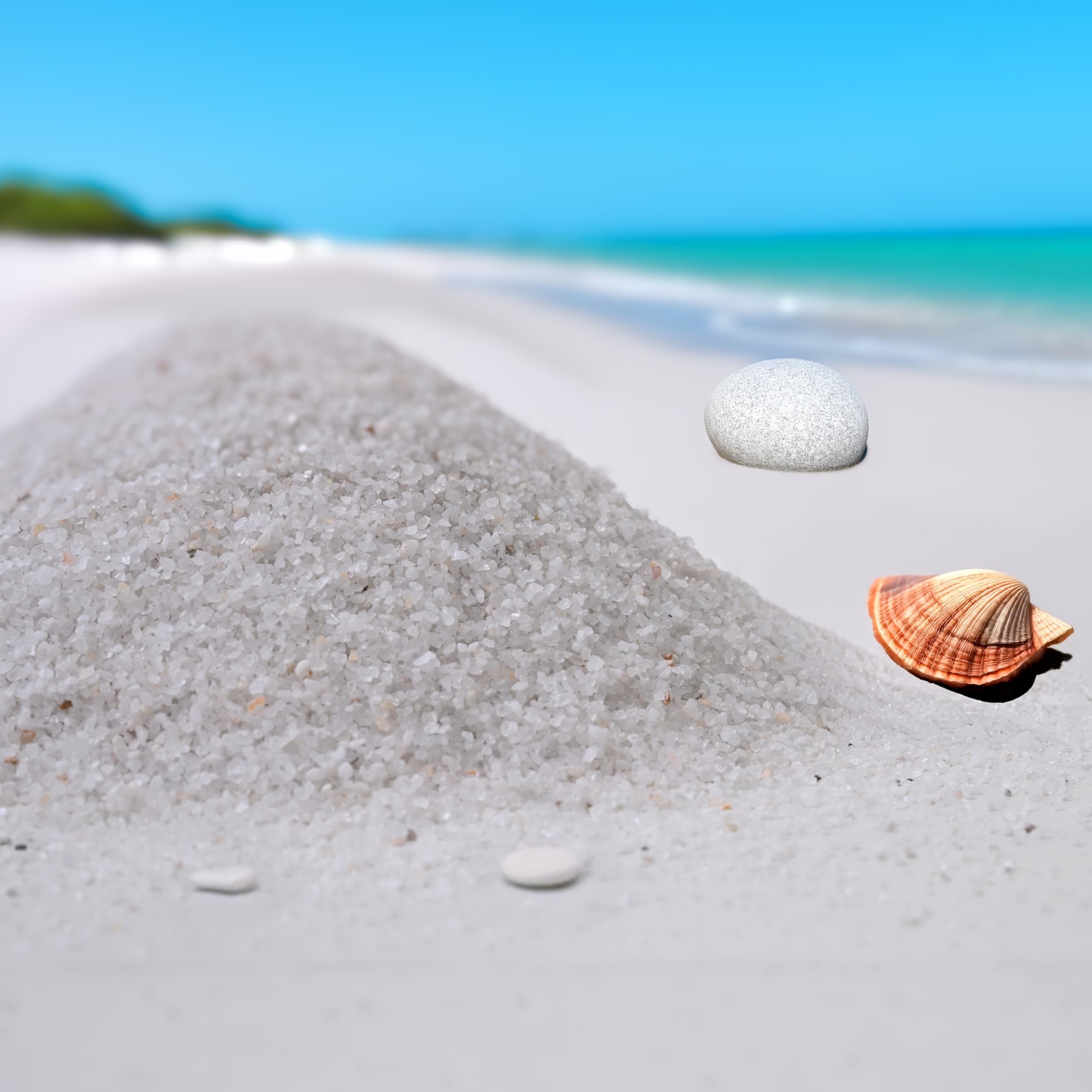 VANNEF® Premium Aquarium White Sand for Lawn, Garden, Plants & Aquarium/Fish Tank, Indoor & Outdoor Decoration (800 gm White) 2