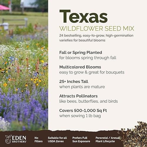 Miniatura 2 de Eden Brothers Semillas mixtas de flores silvestres de Texas para plantar, 1 libra, más de 480,000 semillas con aciano, ojos de pájaro, margarita