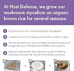 Host Defense Organic Lion’s Mane Mushroom Capsules – Immune Support & Antioxidant Supplement – 1,000 mg Potency, 120 Vegetarian Capsules, 60 Day Supply
