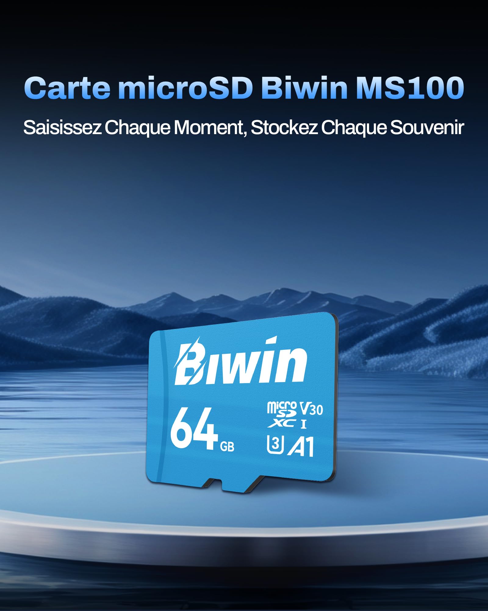 Carte Micro SDXC Biwin MS100 64 Go, MicroSD UHS-I A1 V30 U3 Classe 10, 100 Mo/s