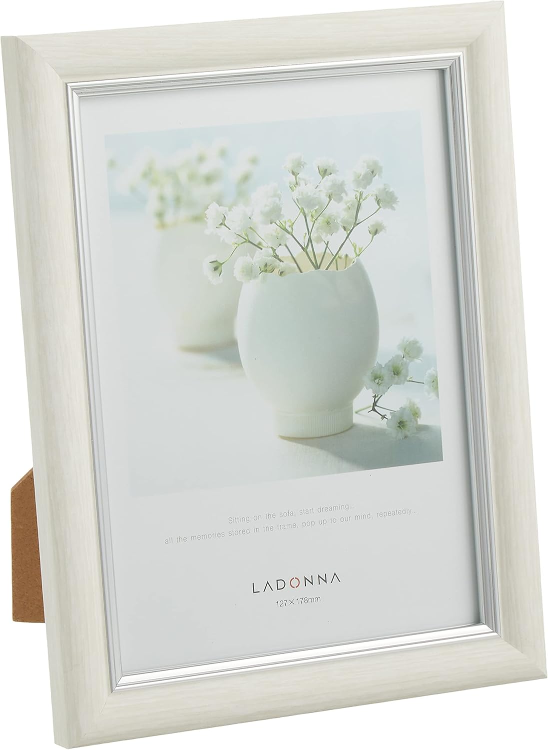 LADONNA SF10-2L-WH Radonna Picture Frame