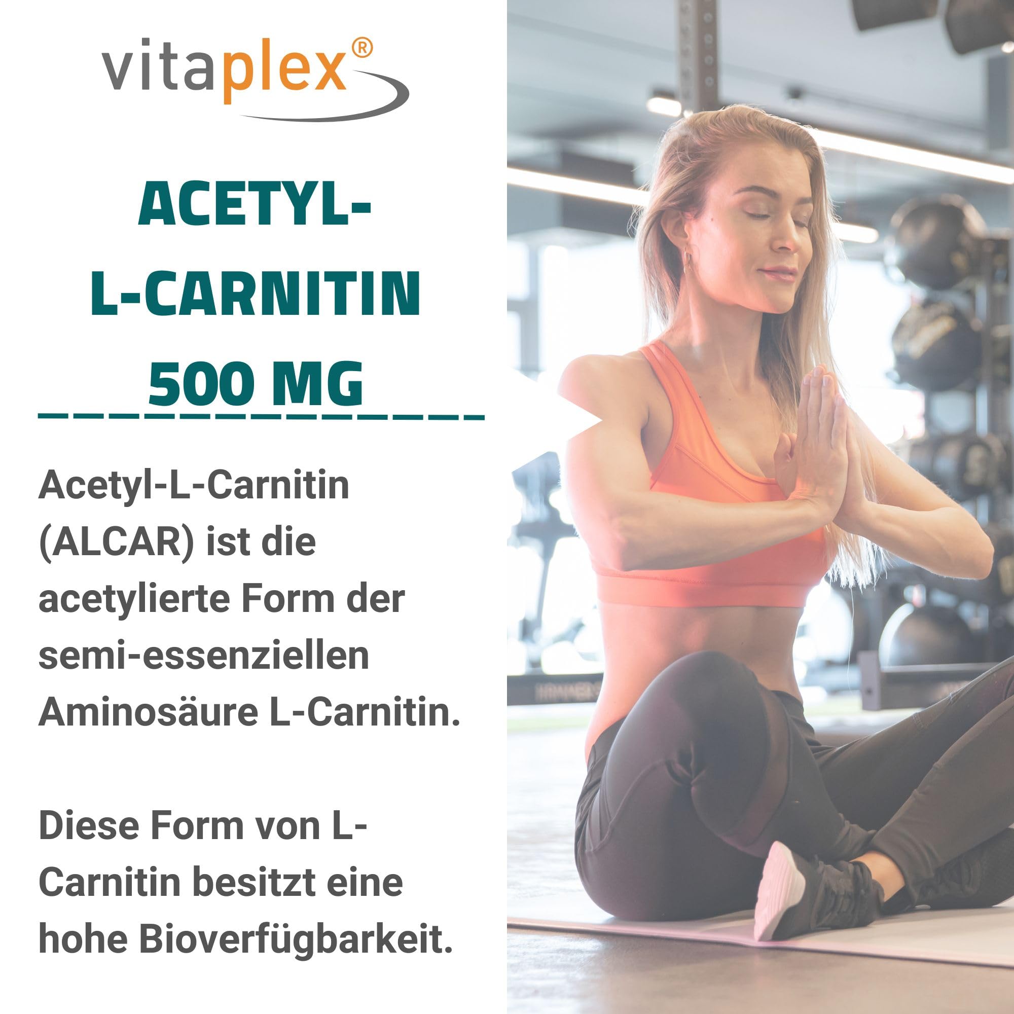 vitaplex acetyl l-carnitine Vitaplex Acetyl L-Carnitine Capsules High Dose (500 mg, 90 Tablets) Acetyl-L -Carnitine Complex and Amino Acid Workout Supplement - Carnitine Capsules  with Amino Acids