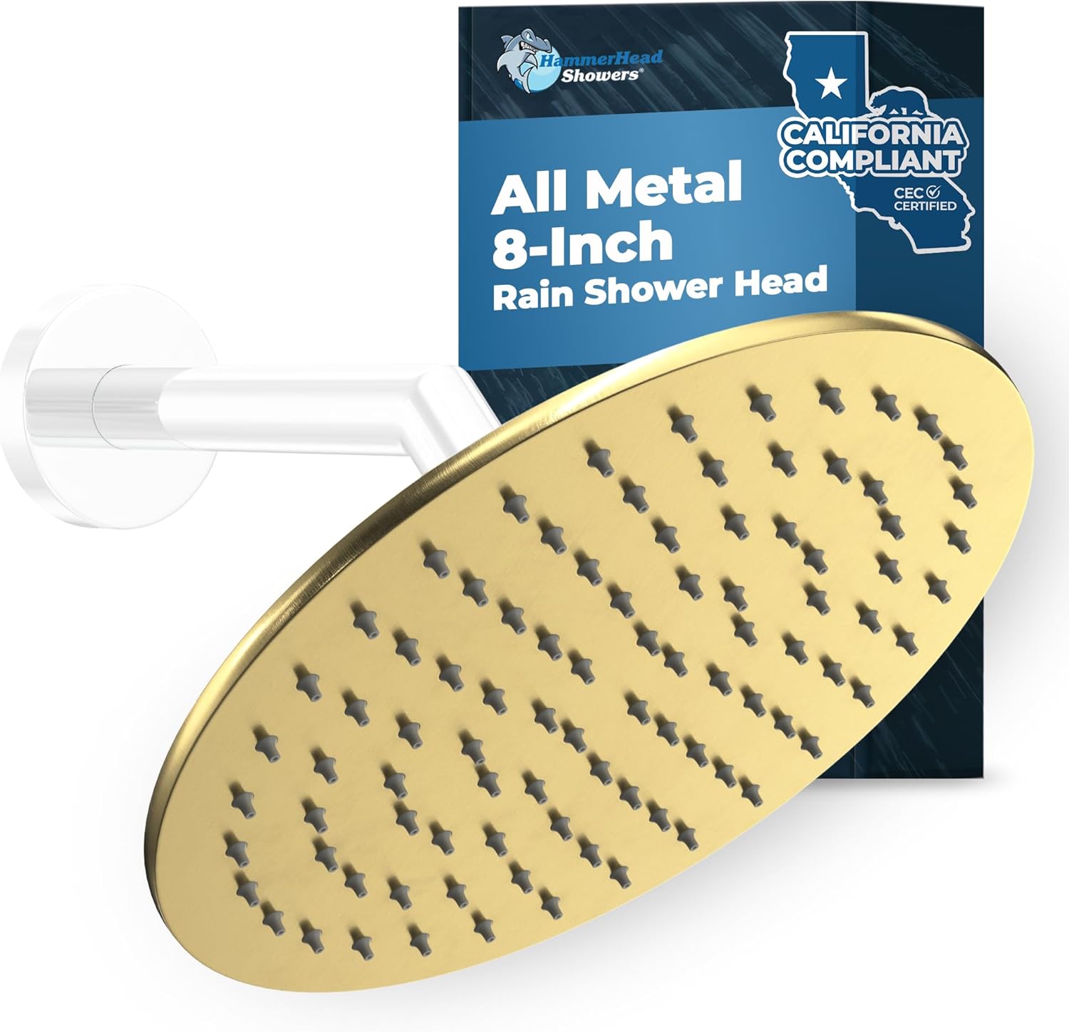 HammerHead Showers Solid Metal 8" Rain Shower Head