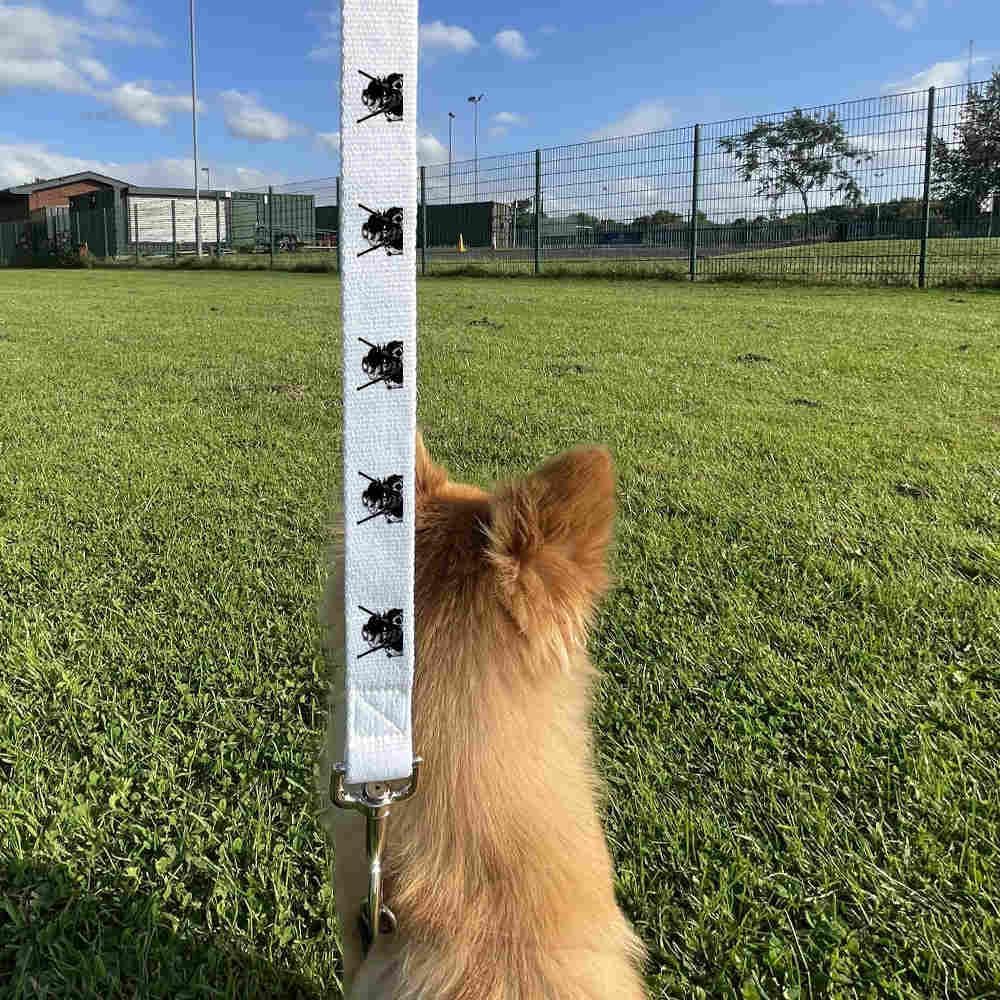 'Cowboy With Guns' Dog Lead/Leash (DL00001522) 10 'Cowboy With Guns' Dog Lead/Leash (DL00001522)