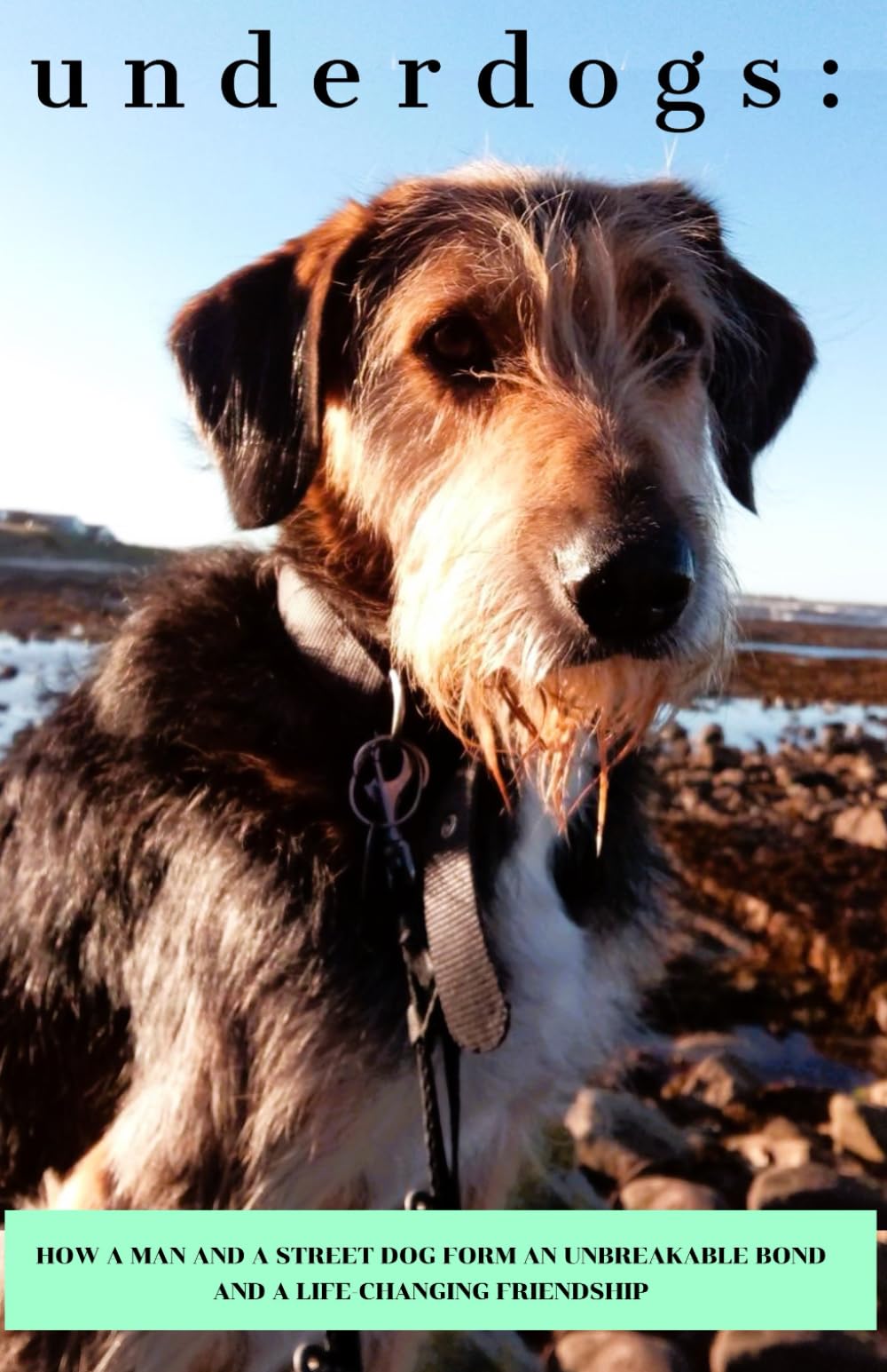 Underdogs: How a man and a street dog form an unbreakable bond and a lifechanging friendship