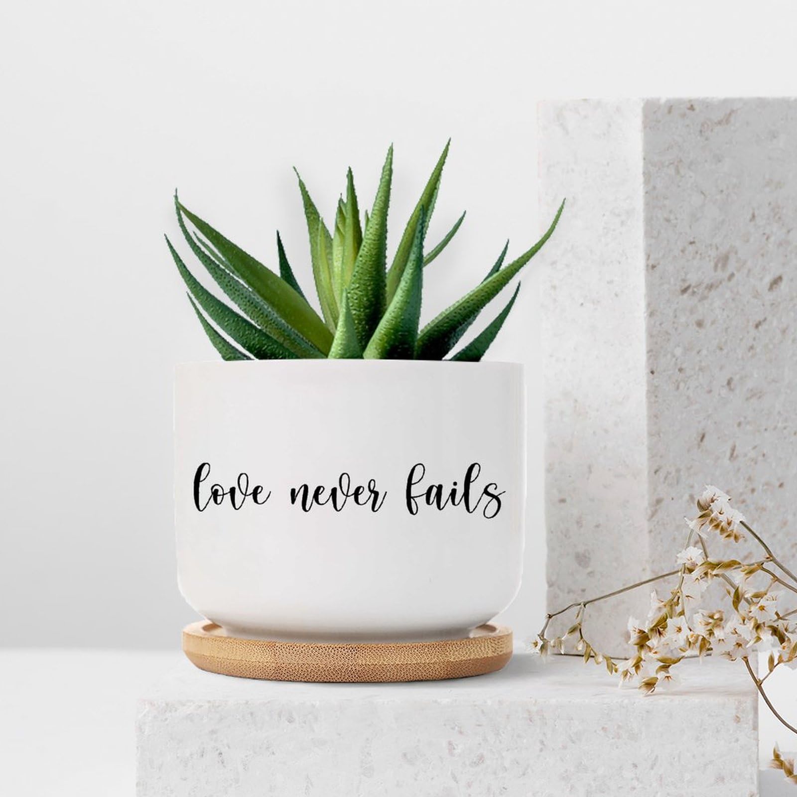 Amazon.com: BRUYU5SE Love Never Fails Ceramic Planter Motivational