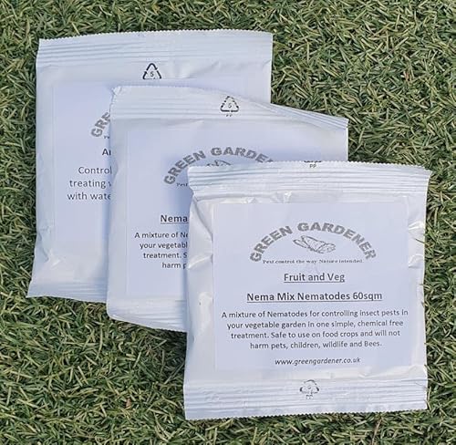 Box Tree Caterpillar Nematodes