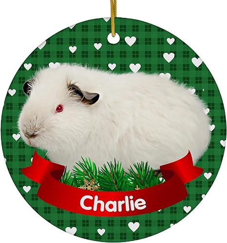 Diseño temático verde romero conejillo de indias del Himalaya Nombre personalizado Adornos de Navidad 2023 círculo blanco cerámica dueño mascota