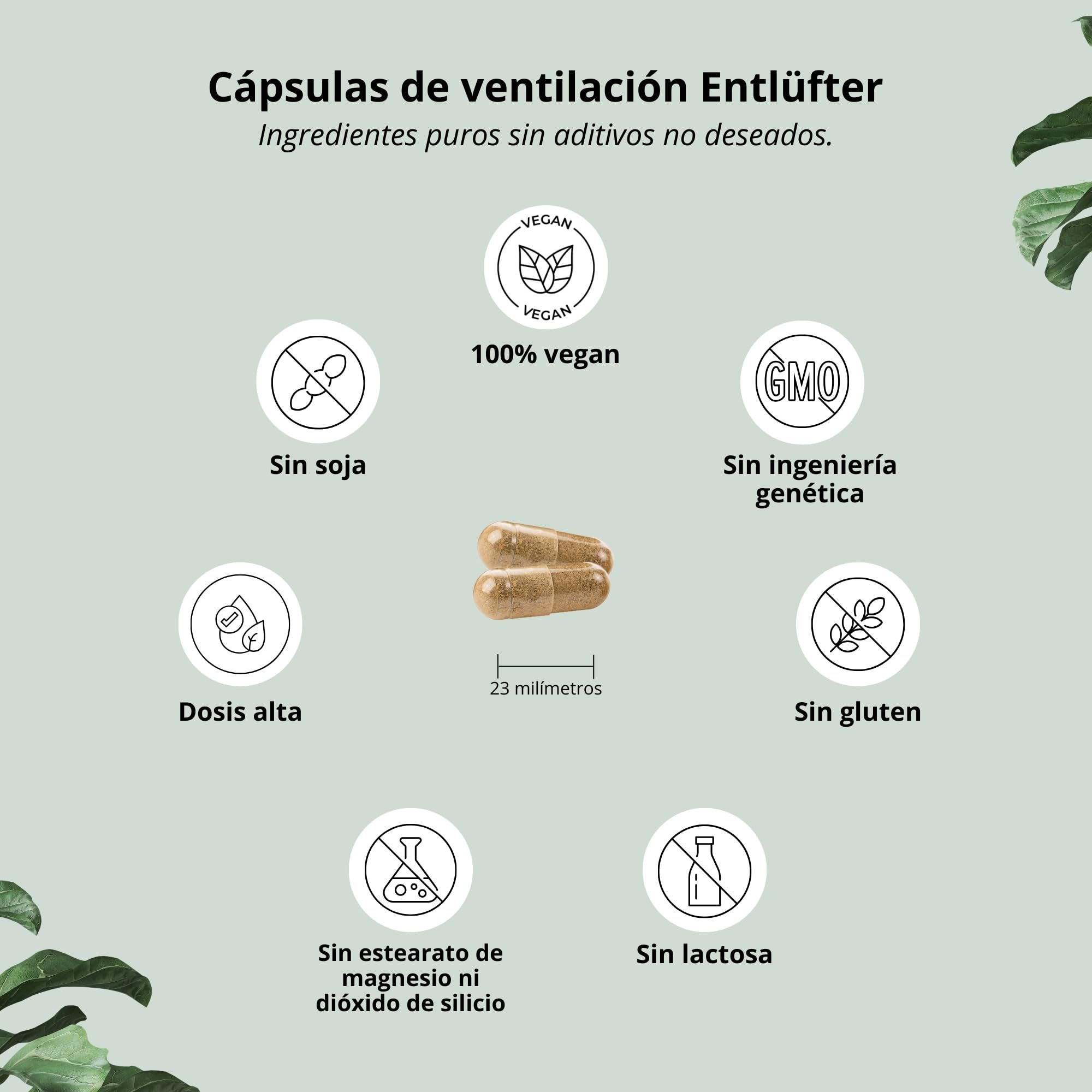 Nutri + Entlüfter 120 Cápsulas - para Gases e Hinchazón abdominal - Relajación gastrointestinal - Comino negro, Anís, Cúrcuma, Jengibre, Hinojo