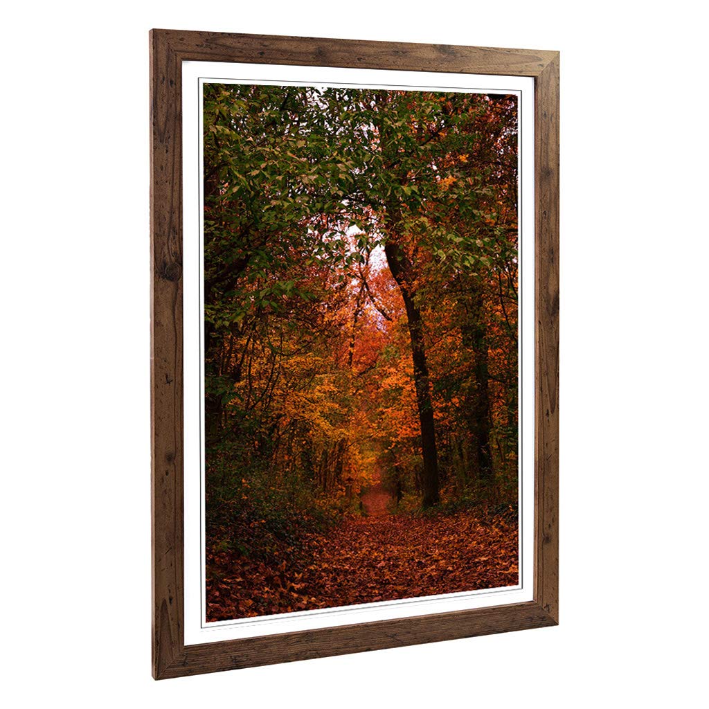 Big Box Art Framed Print of Autumn Forest Woodland Path Design | Wall Art Picture | Home Decor for Kitchen, Living, Dining Room, Bedroom, Hallway, Office, Walnut, A2 / 24.5x18 Inch / 62x45cm