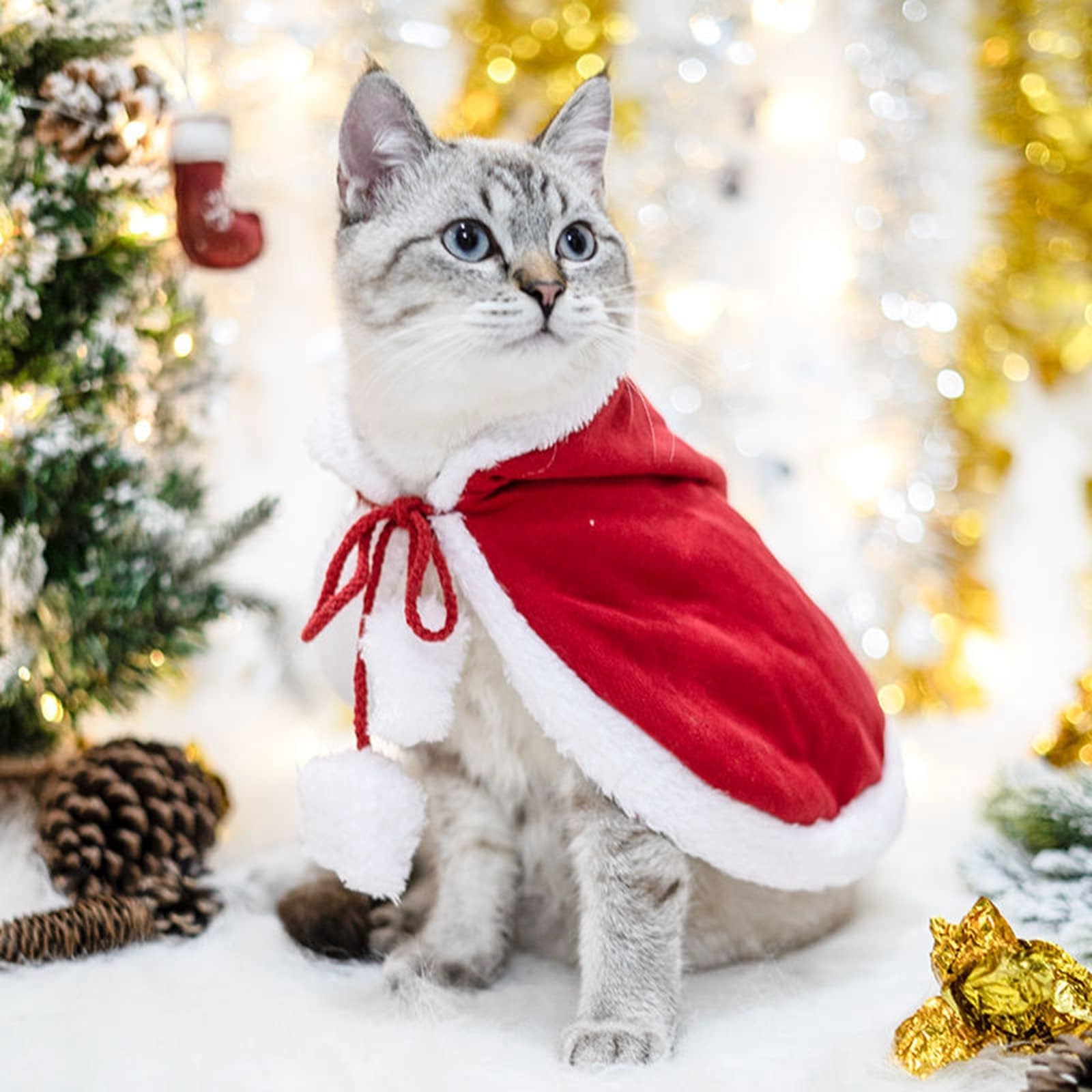 Sponsored Ad – Pet Christmas Costume, Dog Cat Cape with Hat Santa Claus Cloak, Christmas Outfits for Cats and Small Dogs Red (Small)