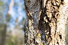 Review Image by SloMo SloMo