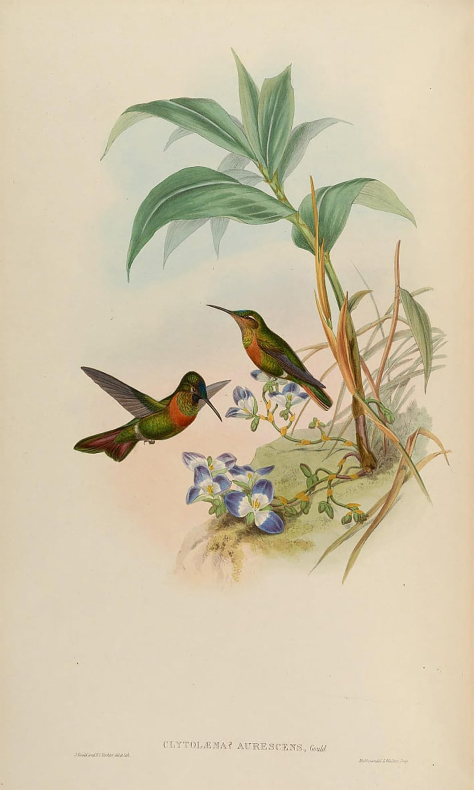 Cuadro de lienzo de 60x90cm para transformar paredes vacías con arte de aves elegante 5