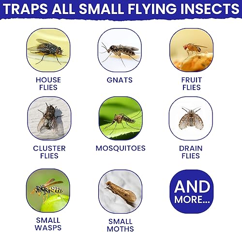 Miniatura 9 de Trampas para moscas de ventana para interiores, paquete de 15 tiras transparentes para interiores. La única trampa para moscas de interior de doble