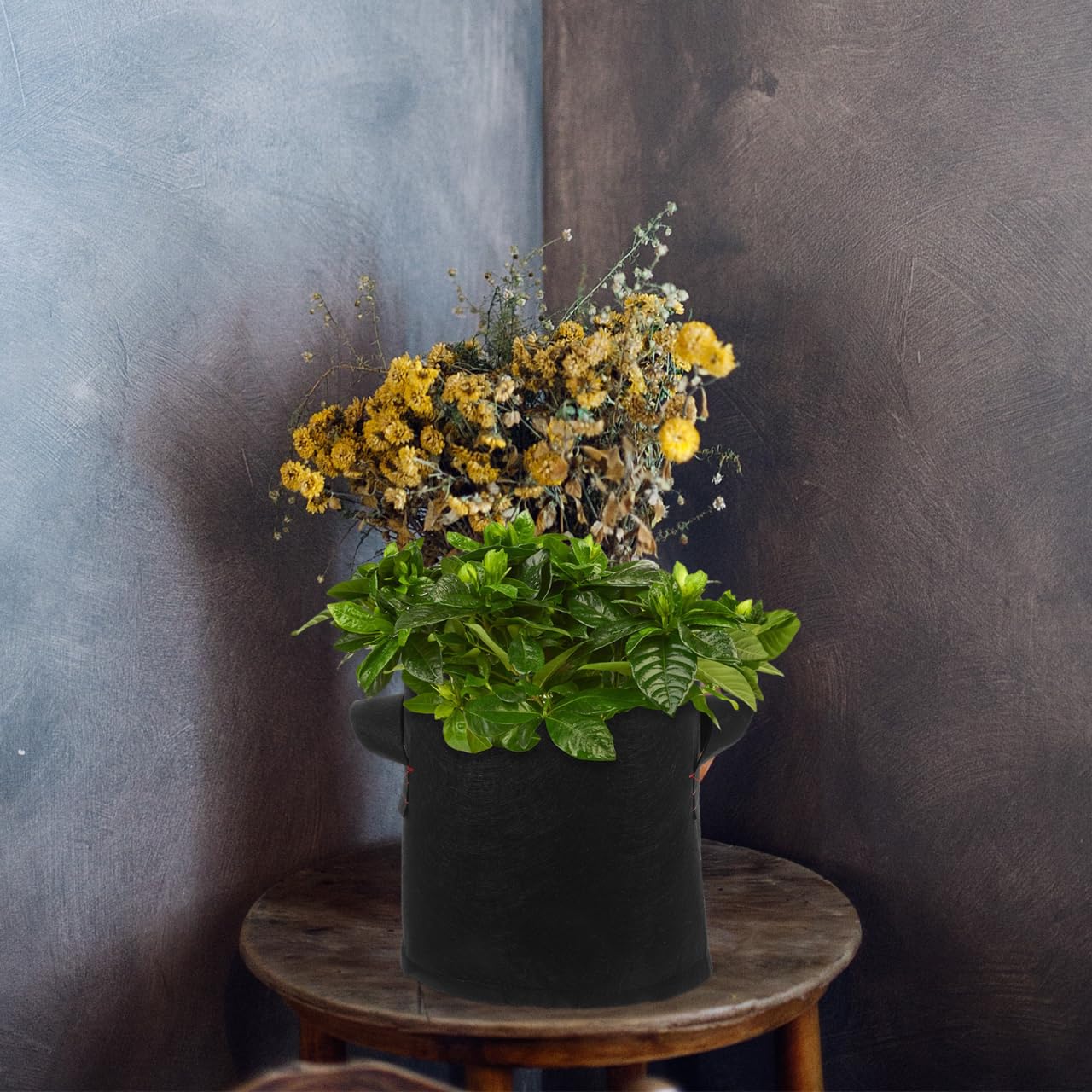 INOOMP 12pièces Sacs De Culture Tissu Non Tissé Épais avec Poignées pour Plantes Pommes De Terre Légumes Intérieur Et Extérieur