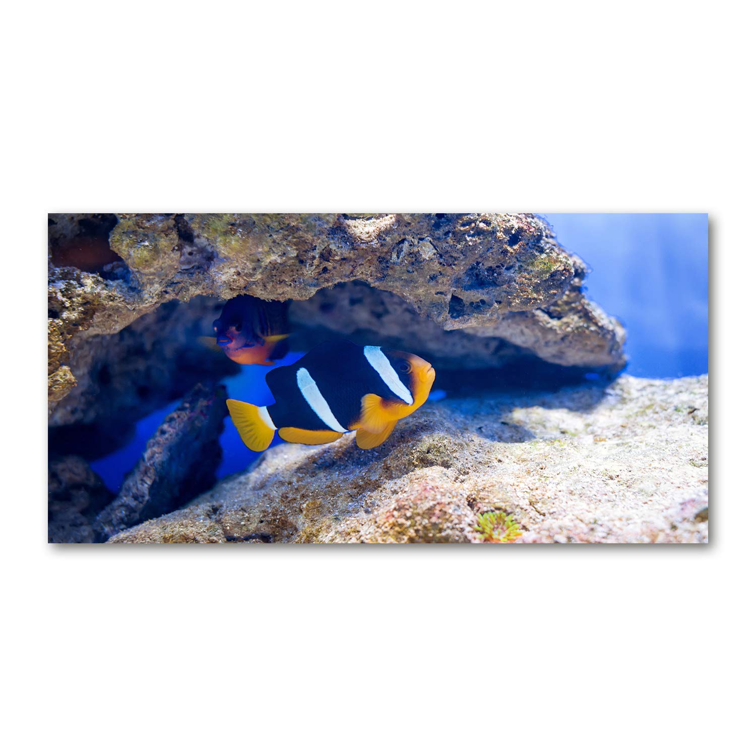 Impression sur verre multicolore de 120x60 cm pour sublimer le mur du salon