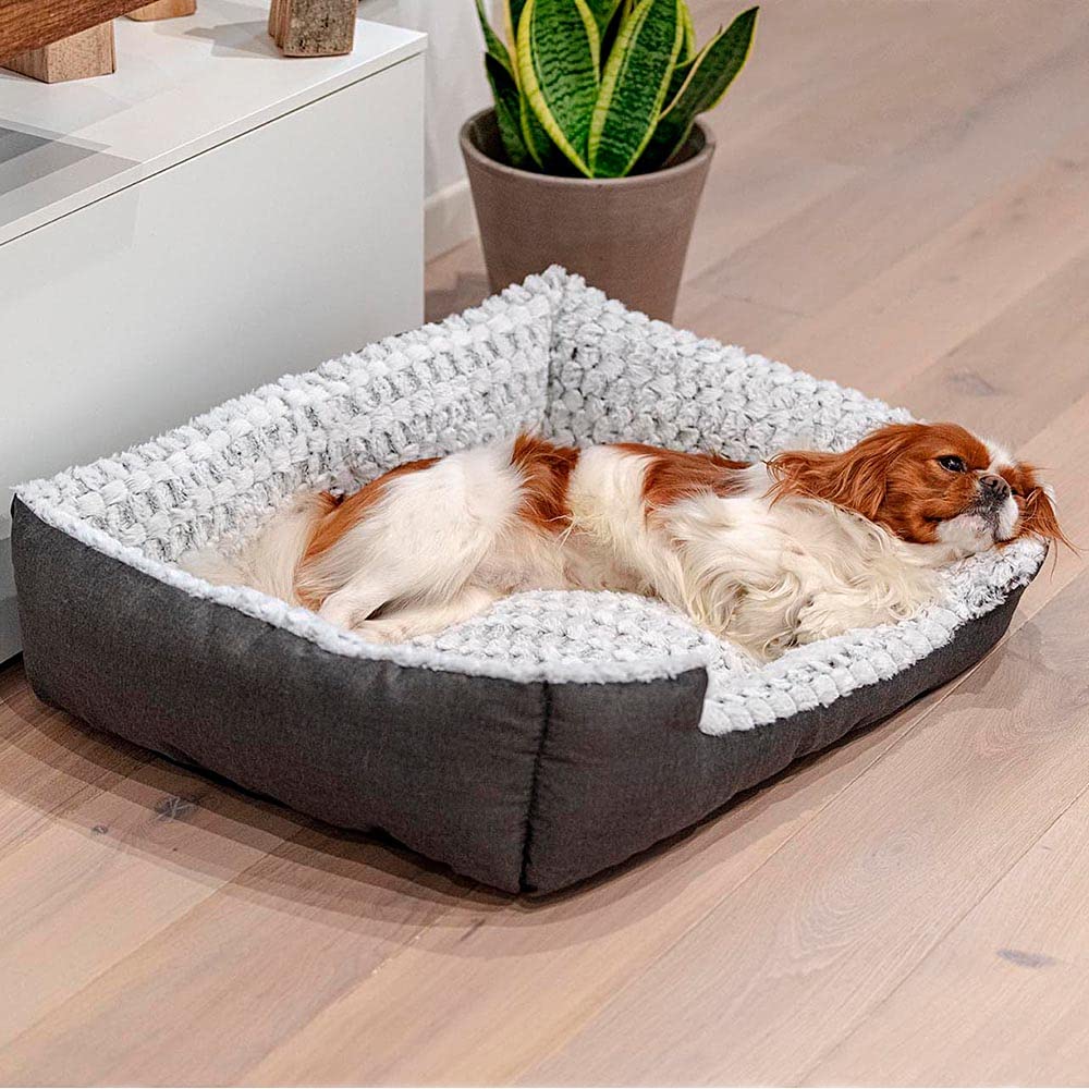 Ferplast Panier Chien Coussin Chien Moyen Taille Panier Chat Coussin Chat Doux et Confortable 48 x 37 x h 16 cm. Gris