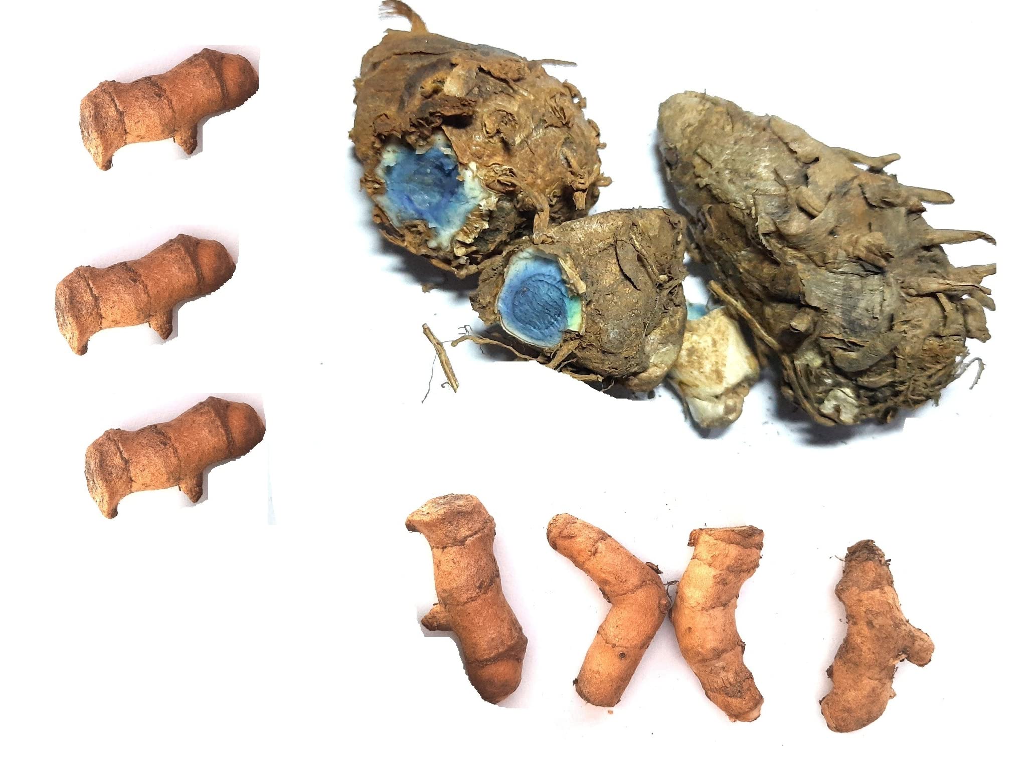Bhuwar® Firm fresh black turmeric kali haldi 3 rhizome with 7 fingers (B0BMYP4GVJ) Amazon Price History, Amazon Price Tracker