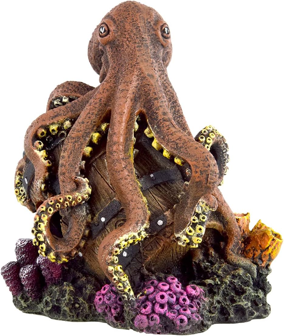 Underwater Treasures Reef Octopus